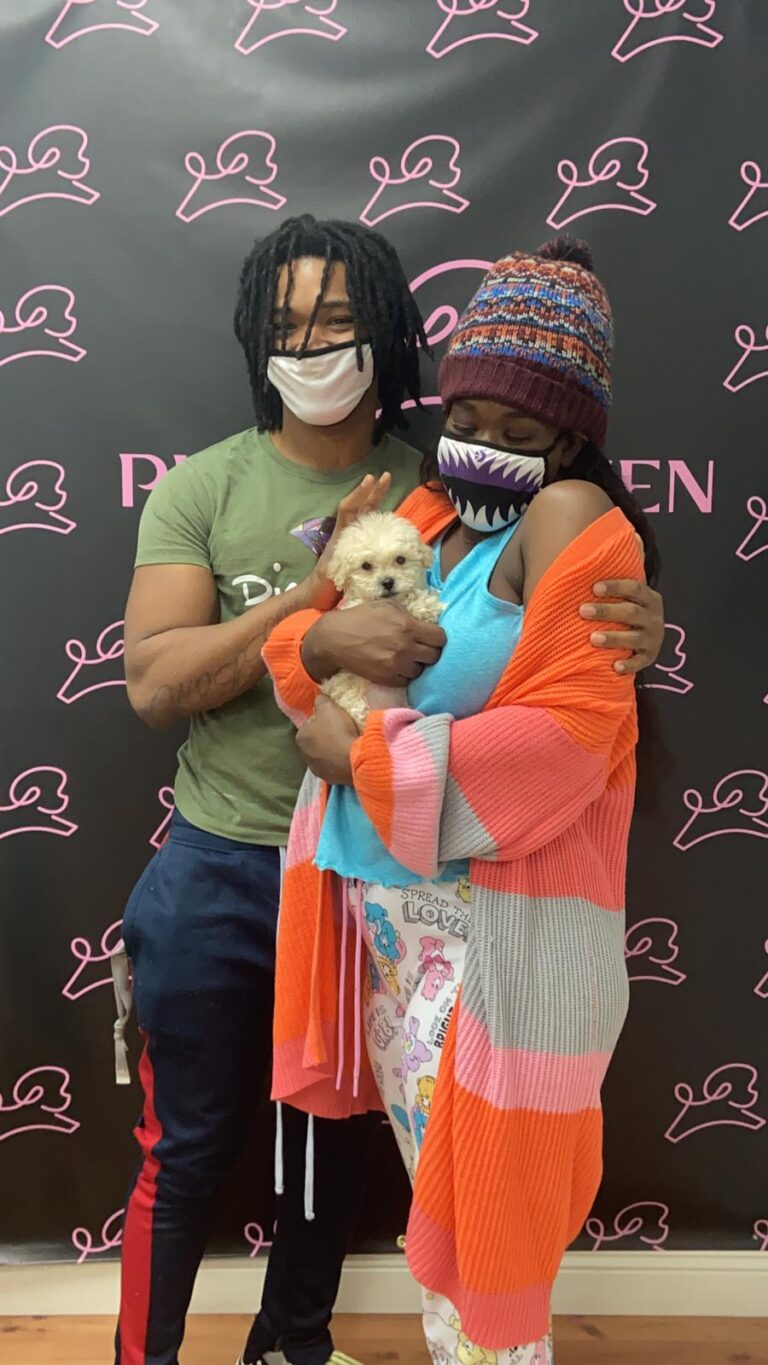 Nice couple adopts a perfect Maltipoo puppy at Puppy Heaven Las Vegas