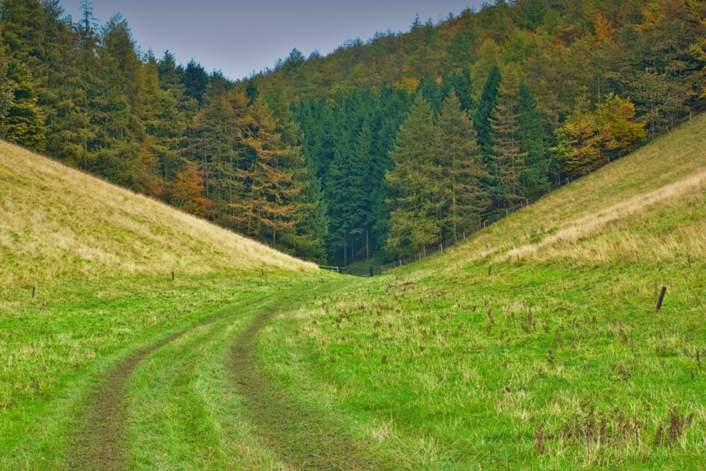 dirt pathway between hill and trees