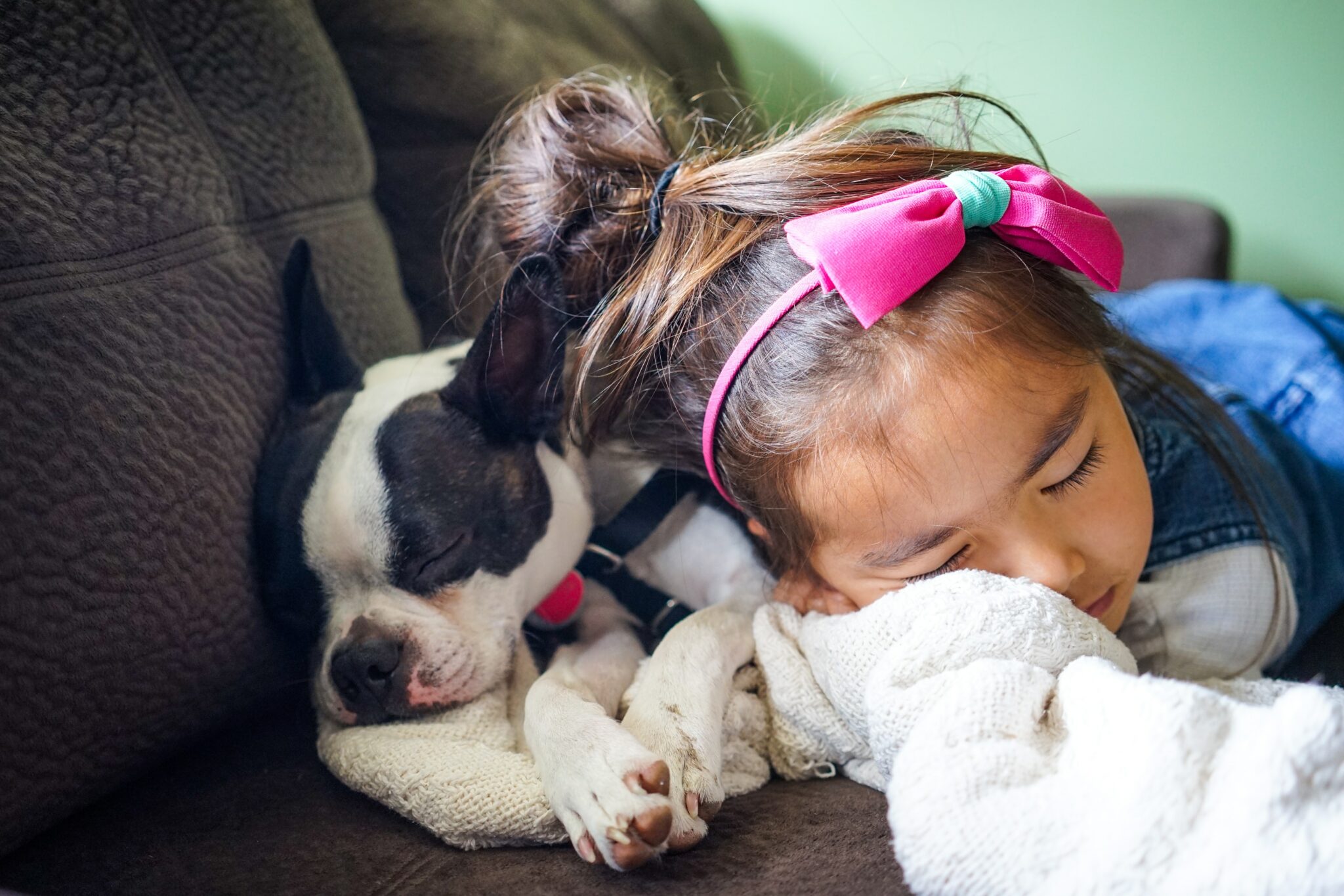 girl sleeping beside a dog on the sofa