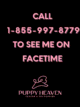 Call facetime 1 76