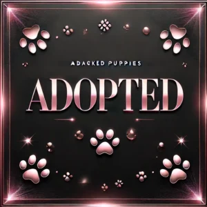 Adopted