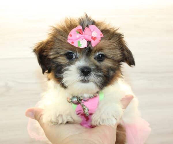 lilo toy teddy bear for sale