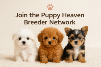 Puppy Heaven Teacup & Toy Puppy Breeders