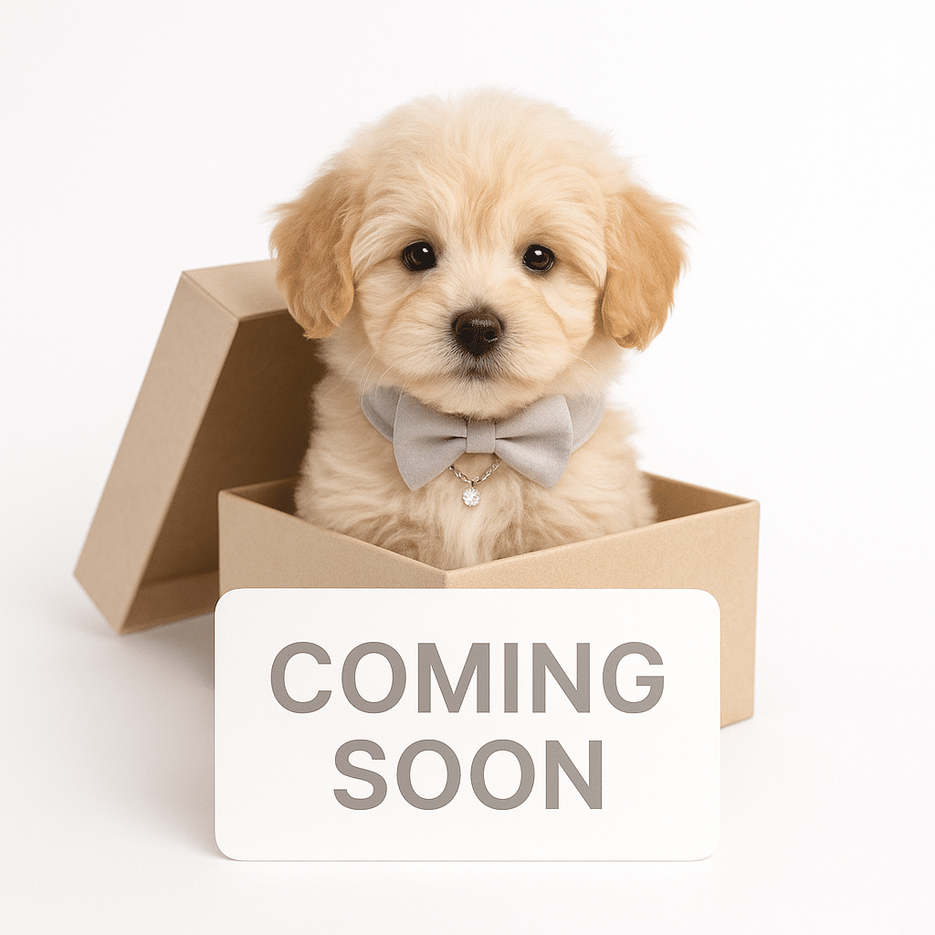 Coming Soon