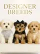 All Designer Breeds Puppies