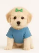 Bichapoo