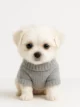 Maltese