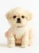 Peekapoo