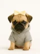 Pug