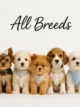 All Breeds