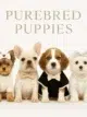 Purebred Puppies