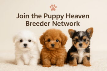 Puppy Heaven Teacup & Toy Puppy Breeders