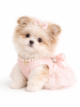 Pomshi