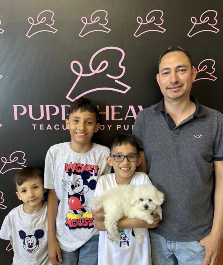 Leonid Toy Maltipoo Puppy