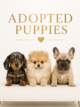 Adopted Puppies