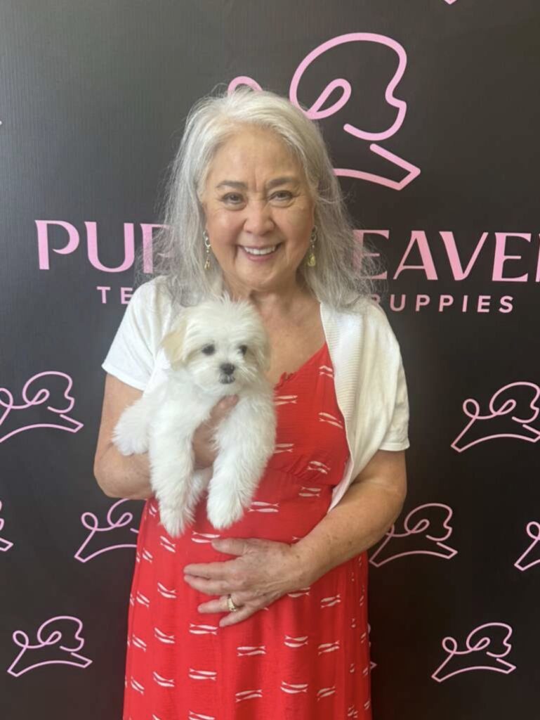 TMZ Teacup Maltese Puppy