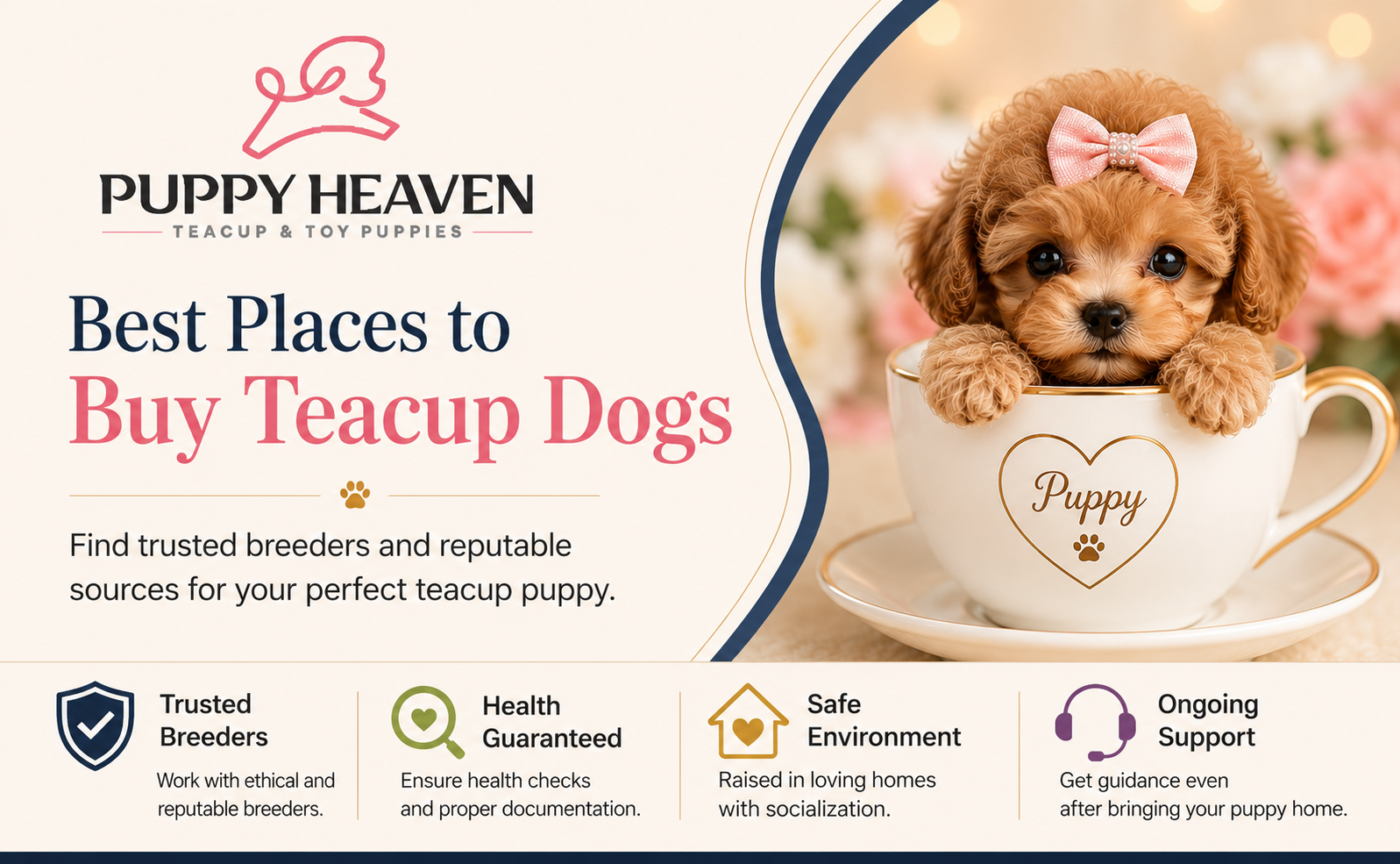 Best Places to Buy Teacup Dogs