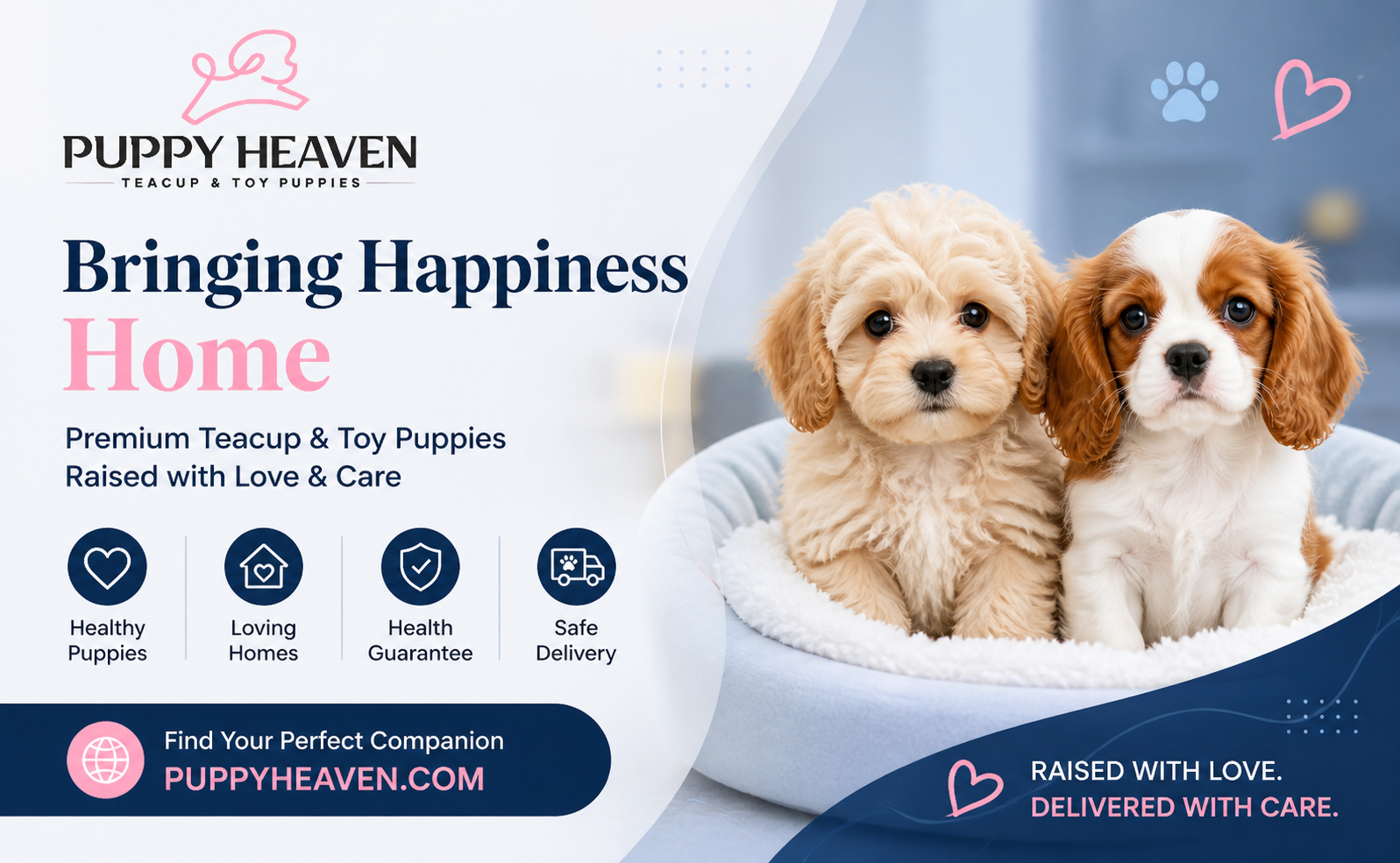 Cavachon