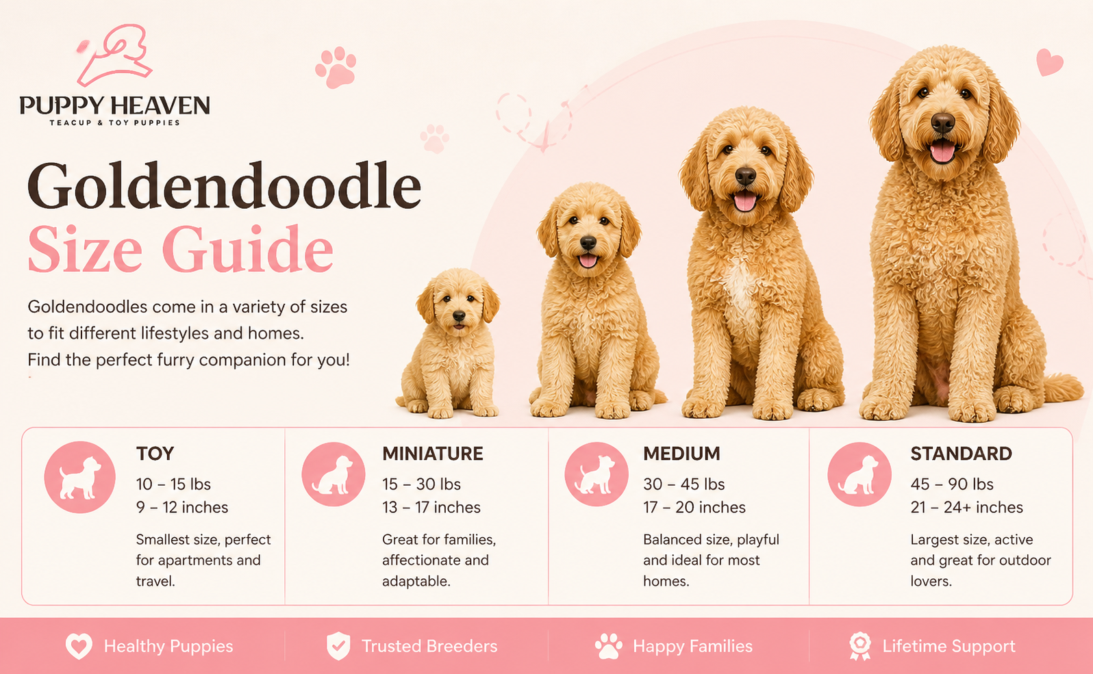 Goldendoodle Size Guide