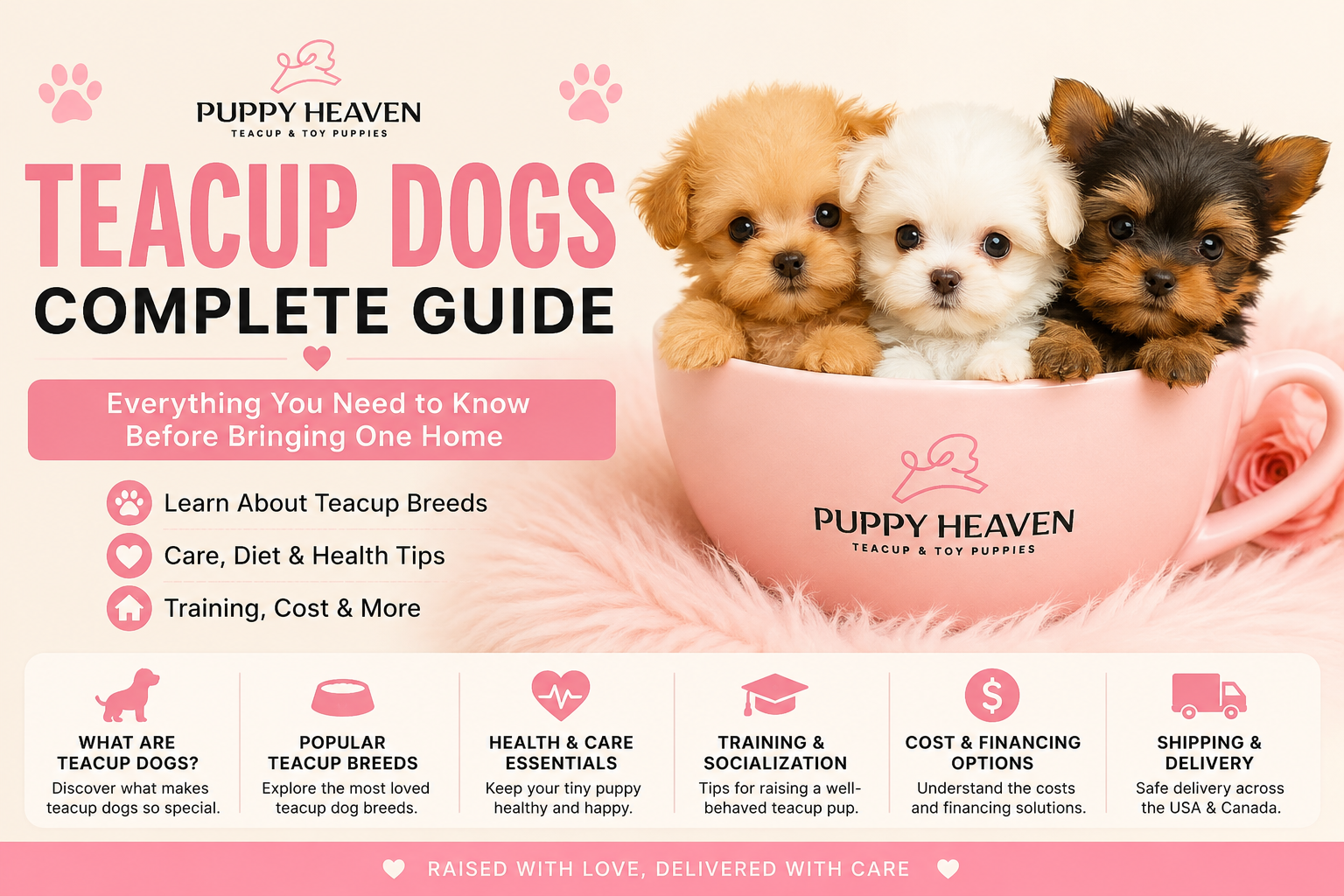 Teacup Dogs