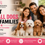 Best Small Dogs for Families